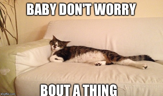 Don't worry | BABY DON'T WORRY; BOUT A THING | image tagged in don't worry bro | made w/ Imgflip meme maker