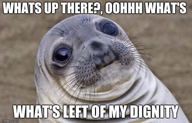 Awkward Moment Sealion | WHATS UP THERE?, OOHHH WHAT'S; WHAT'S LEFT OF MY DIGNITY | image tagged in memes,awkward moment sealion | made w/ Imgflip meme maker