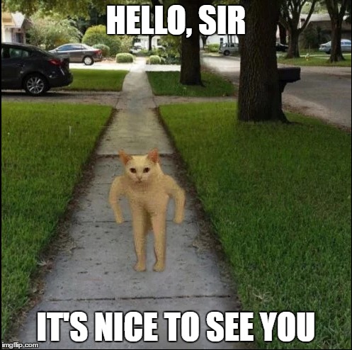 HELLO, SIR; IT'S NICE TO SEE YOU | image tagged in cat,weird,photoshop | made w/ Imgflip meme maker