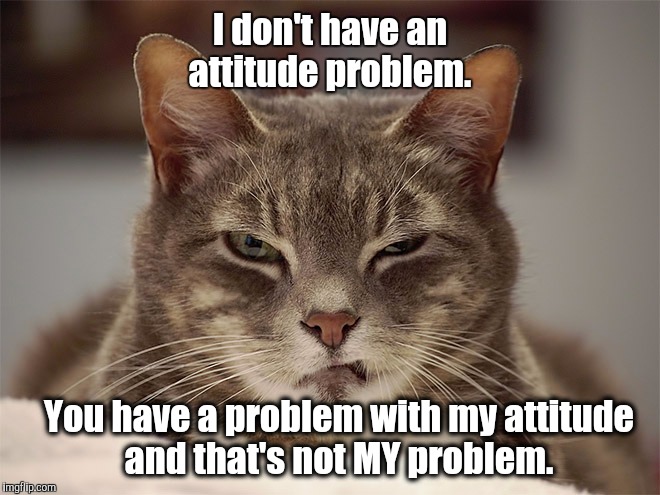 That s Not MY Problem Imgflip