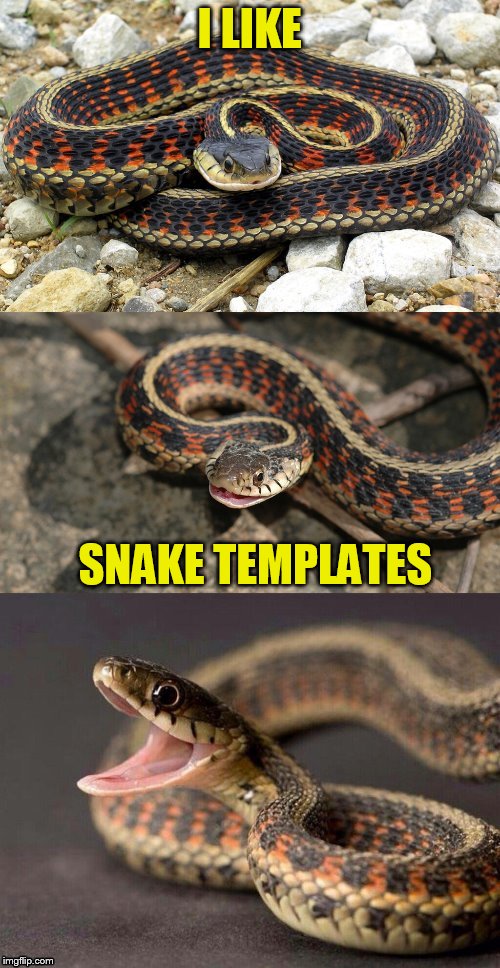 Snake Puns | I LIKE SNAKE TEMPLATES | image tagged in snake puns | made w/ Imgflip meme maker