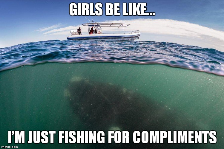 Girl Facts | GIRLS BE LIKE…; I’M JUST FISHING FOR COMPLIMENTS | image tagged in fishing for whales,girls,facts,memes,funny | made w/ Imgflip meme maker