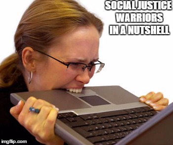 computer mad | SOCIAL JUSTICE WARRIORS IN A NUTSHELL | image tagged in computer mad | made w/ Imgflip meme maker