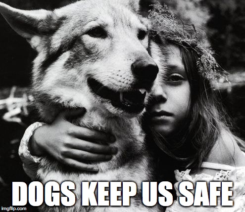 dogs keep kids safe. we love our pets | DOGS KEEP US SAFE | image tagged in dog,kids,dogs | made w/ Imgflip meme maker