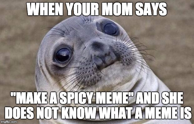 Awkward Moment Sealion Meme | WHEN YOUR MOM SAYS; "MAKE A SPICY MEME" AND SHE DOES NOT KNOW WHAT A MEME IS | image tagged in memes,awkward moment sealion | made w/ Imgflip meme maker