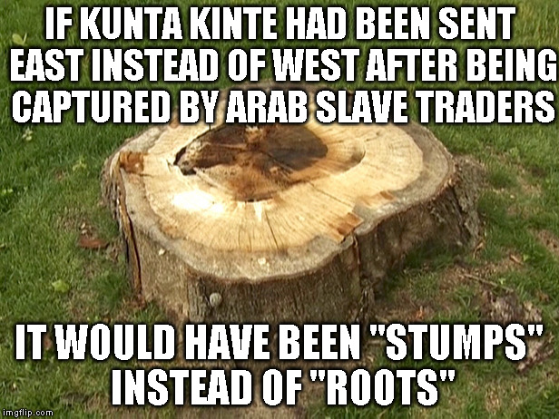 stump | IF KUNTA KINTE HAD BEEN SENT EAST INSTEAD OF WEST AFTER BEING CAPTURED BY ARAB SLAVE TRADERS; IT WOULD HAVE BEEN "STUMPS" INSTEAD OF "ROOTS" | image tagged in stump | made w/ Imgflip meme maker