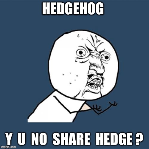 Y U No Meme | HEDGEHOG; Y  U  NO  SHARE  HEDGE ? | image tagged in memes,y u no | made w/ Imgflip meme maker