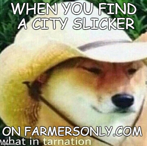 what in tarnation | WHEN YOU FIND A CITY SLICKER; ON FARMERSONLY.COM | image tagged in what in tarnation | made w/ Imgflip meme maker