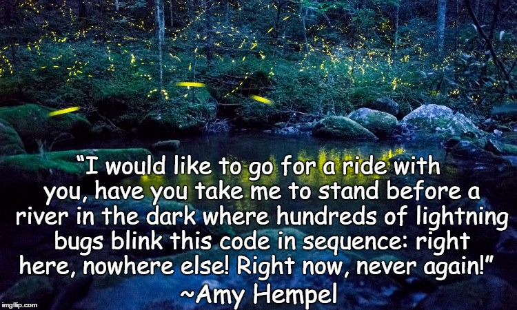 Fireflies |  “I would like to go for a ride with you, have you take me to stand before a river in the dark where hundreds of lightning bugs blink this code in sequence: right here, nowhere else! Right now, never again!”; ~Amy Hempel | image tagged in amy hempel,lightning bugs,passion,connection,spark,be here now | made w/ Imgflip meme maker