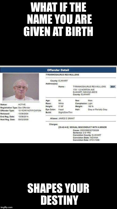 Man named after apex predator  becomes sexual predator | WHAT IF THE NAME YOU ARE GIVEN AT BIRTH; SHAPES YOUR DESTINY | image tagged in irony | made w/ Imgflip meme maker