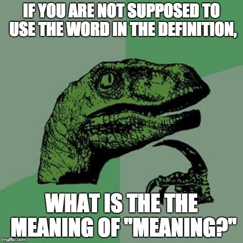 Philosoraptor | IF YOU ARE NOT SUPPOSED TO USE THE WORD IN THE DEFINITION, WHAT IS THE THE MEANING OF "MEANING?" | image tagged in memes,philosoraptor | made w/ Imgflip meme maker