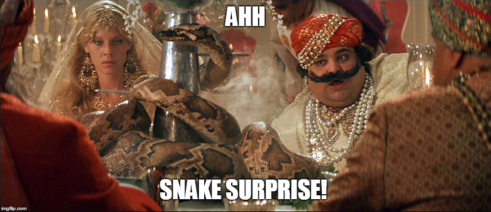 Snake suprise |  AHH; SNAKE SURPRISE! | image tagged in indiana jones snakes,temple of doom | made w/ Imgflip meme maker
