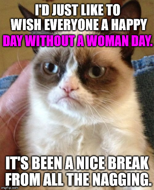 Grumpy Cat | I'D JUST LIKE TO WISH EVERYONE A HAPPY; DAY WITHOUT A WOMAN DAY. IT'S BEEN A NICE BREAK FROM ALL THE NAGGING. | image tagged in memes,grumpy cat,politics,political,first world problems,feminism | made w/ Imgflip meme maker