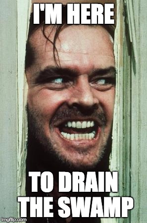 Here's Johnny | I'M HERE; TO DRAIN THE SWAMP | image tagged in memes,heres johnny | made w/ Imgflip meme maker