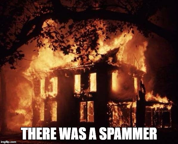 housefire | THERE WAS A SPAMMER | image tagged in housefire | made w/ Imgflip meme maker