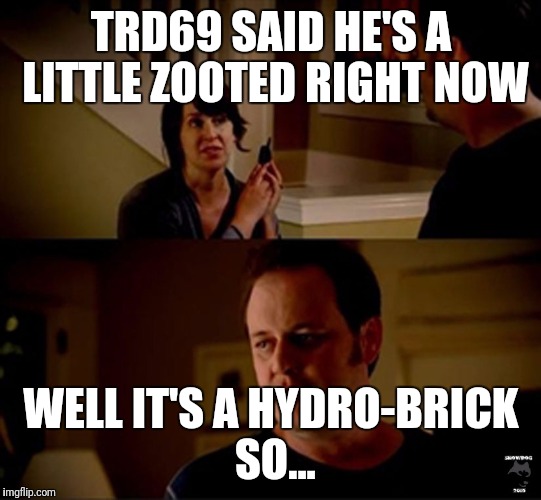 well he's a guy so... | TRD69 SAID HE'S A LITTLE ZOOTED RIGHT NOW; WELL IT'S A HYDRO-BRICK SO... | image tagged in well he's a guy so | made w/ Imgflip meme maker