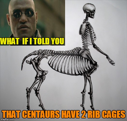 Mythical Creatures Anatomy 101 | WHAT  IF I TOLD YOU; THAT CENTAURS HAVE 2 RIB CAGES | image tagged in memes,matrix morpheus,centaur | made w/ Imgflip meme maker