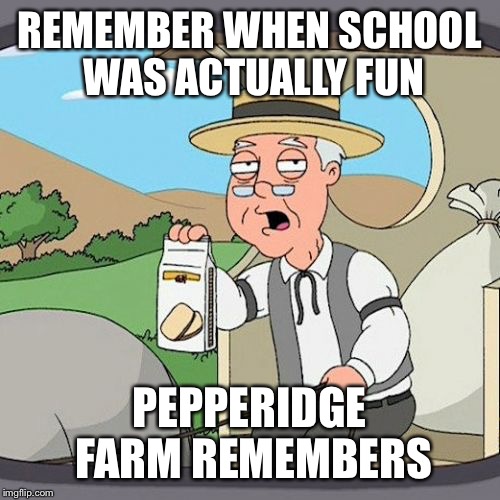Pepperidge Farm Remembers Meme | REMEMBER WHEN SCHOOL WAS ACTUALLY FUN; PEPPERIDGE FARM REMEMBERS | image tagged in memes,pepperidge farm remembers | made w/ Imgflip meme maker