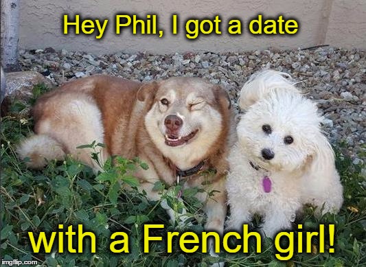 Lucky Dogs Gets Date with Poodle | Hey Phil, I got a date; with a French girl! | image tagged in dogs,funny dogs,poodle | made w/ Imgflip meme maker