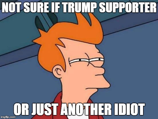 Futurama Fry | NOT SURE IF TRUMP SUPPORTER; OR JUST ANOTHER IDIOT | image tagged in memes,futurama fry | made w/ Imgflip meme maker