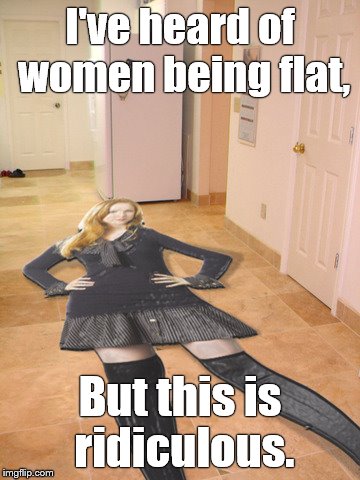 Flat girl. | I've heard of women being flat, But this is ridiculous. | image tagged in woman,flat,floor | made w/ Imgflip meme maker