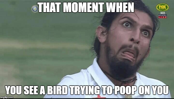THAT MOMENT WHEN; YOU SEE A BIRD TRYING TO POOP ON YOU | image tagged in that moment when you | made w/ Imgflip meme maker