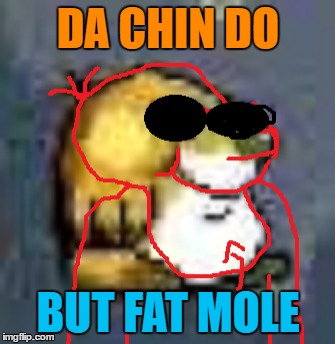 Scary fat mole | DA CHIN DO; BUT FAT MOLE | image tagged in scary,fat,mole | made w/ Imgflip meme maker