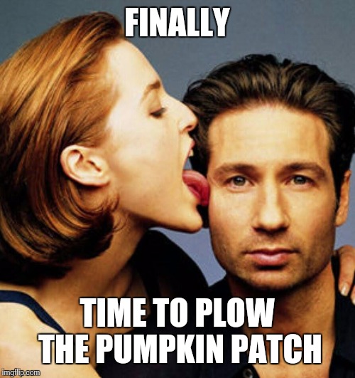 Ginger peachy.  Nsfw | FINALLY; TIME TO PLOW THE PUMPKIN PATCH | image tagged in scully licks mulder | made w/ Imgflip meme maker