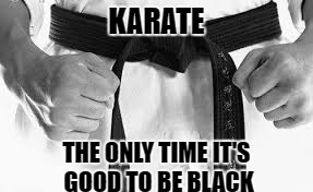 Racist Rankings | KARATE; THE ONLY TIME IT'S GOOD TO BE BLACK | image tagged in karate,black belt | made w/ Imgflip meme maker