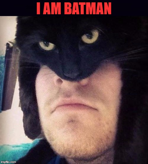 When You Have The Coolest Cat Ever! | I AM BATMAN | image tagged in batman,cat memes,lol,lynch1979 | made w/ Imgflip meme maker