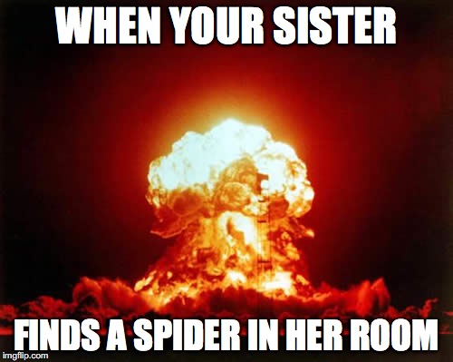 Nuclear Explosion Meme | WHEN YOUR SISTER; FINDS A SPIDER IN HER ROOM | image tagged in memes,nuclear explosion | made w/ Imgflip meme maker
