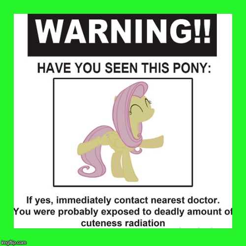 HAVE YOU SEEN THIS PONY? ;) | image tagged in memes,mlp | made w/ Imgflip meme maker