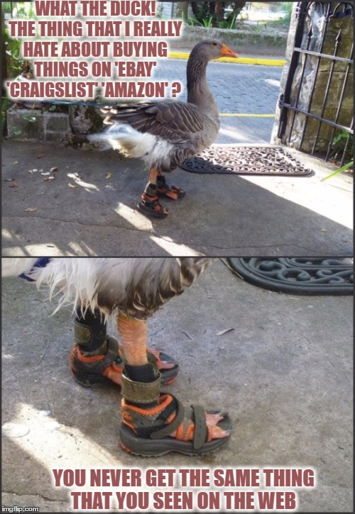 Ducking Internet  | WHAT THE DUCK! THE THING THAT I REALLY HATE ABOUT BUYING THINGS ON 'EBAY' 'CRAIGSLIST' 'AMAZON' ? YOU NEVER GET THE SAME THING THAT YOU SEEN ON THE WEB | image tagged in amazon,craigslist,ebay,web,bad pun duck | made w/ Imgflip meme maker