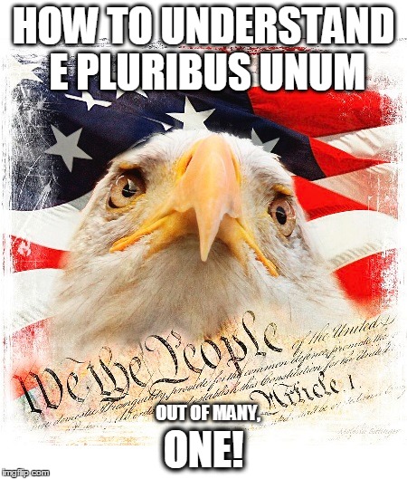 Emphasis on ONE! Not the divisions Democrats feed us! | HOW TO UNDERSTAND E PLURIBUS UNUM; ONE! OUT OF MANY, | image tagged in america,make america great again,american politics | made w/ Imgflip meme maker