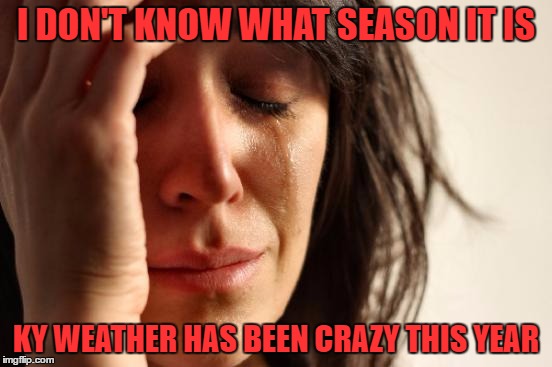 First World Problems Meme | I DON'T KNOW WHAT SEASON IT IS KY WEATHER HAS BEEN CRAZY THIS YEAR | image tagged in memes,first world problems | made w/ Imgflip meme maker