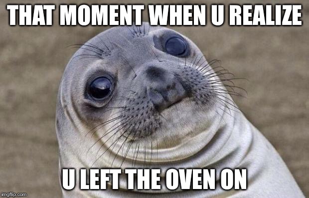 Awkward Moment Sealion | THAT MOMENT WHEN U REALIZE; U LEFT THE OVEN ON | image tagged in memes,awkward moment sealion | made w/ Imgflip meme maker