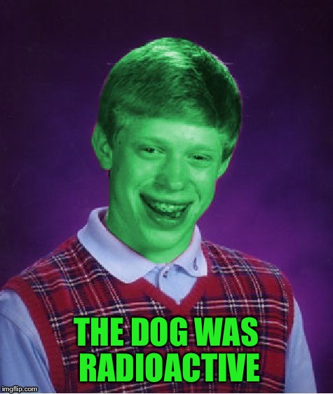 Bad Luck Brian (Radioactive) | THE DOG WAS RADIOACTIVE | image tagged in bad luck brian radioactive | made w/ Imgflip meme maker