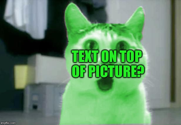 OMG RayCat | TEXT ON TOP OF PICTURE? | image tagged in omg raycat | made w/ Imgflip meme maker