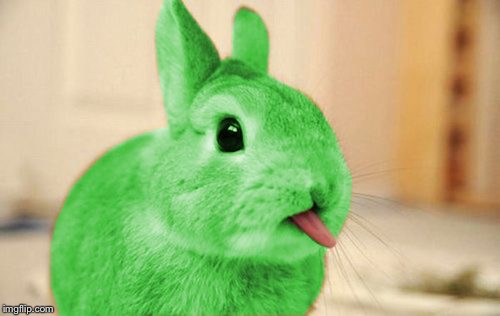 RayBunny | ;) | image tagged in raybunny | made w/ Imgflip meme maker
