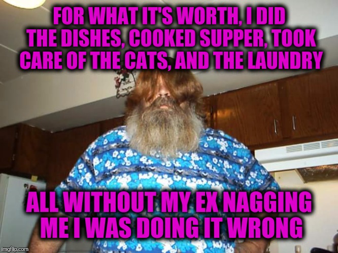 FOR WHAT IT'S WORTH, I DID THE DISHES, COOKED SUPPER, TOOK CARE OF THE CATS, AND THE LAUNDRY ALL WITHOUT MY EX NAGGING ME I WAS DOING IT WRO | made w/ Imgflip meme maker