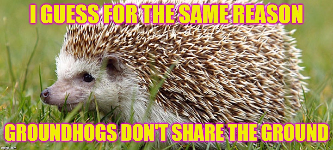 I GUESS FOR THE SAME REASON GROUNDHOGS DON'T SHARE THE GROUND | made w/ Imgflip meme maker