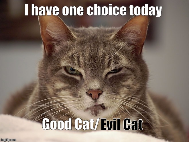 Choices | I have one choice today; Good Cat/; Evil Cat | image tagged in memes,cats,sarcasm cat | made w/ Imgflip meme maker