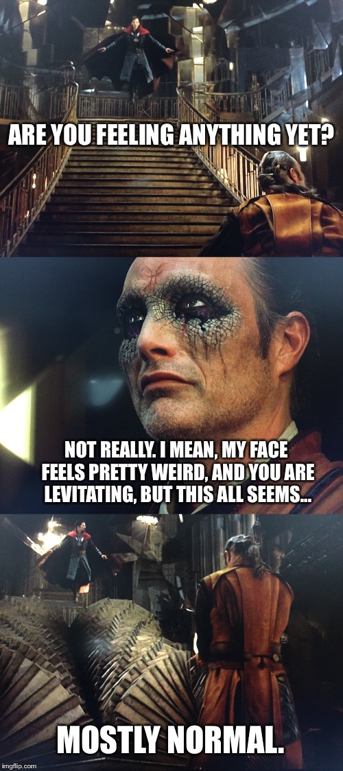 Doctor Strange and Kaecilius eat some shrooms. | ARE YOU FEELING ANYTHING YET? NOT REALLY. I MEAN, MY FACE FEELS PRETTY WEIRD, AND YOU ARE LEVITATING, BUT THIS ALL SEEMS... MOSTLY NORMAL. | image tagged in memes,funny,doctor strange | made w/ Imgflip meme maker