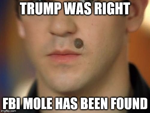 TRUMP WAS RIGHT; FBI MOLE HAS BEEN FOUND | image tagged in donald trump | made w/ Imgflip meme maker