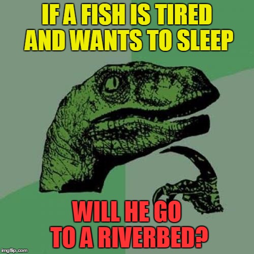 Philosoraptor | IF A FISH IS TIRED AND WANTS TO SLEEP; WILL HE GO TO A RIVERBED? | image tagged in memes,philosoraptor,funny,bed,fish,philosophy | made w/ Imgflip meme maker