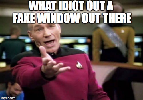 Picard Wtf Meme | WHAT IDIOT OUT A FAKE WINDOW OUT THERE | image tagged in memes,picard wtf | made w/ Imgflip meme maker