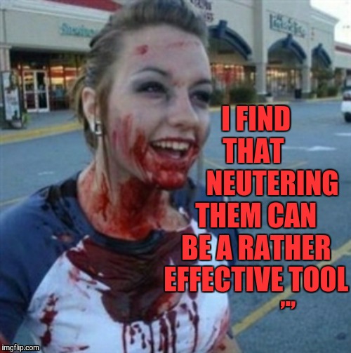 Psycho Nympho |  I FIND    THAT           NEUTERING THEM CAN BE A RATHER EFFECTIVE TOOL; ,., | image tagged in psycho nympho | made w/ Imgflip meme maker