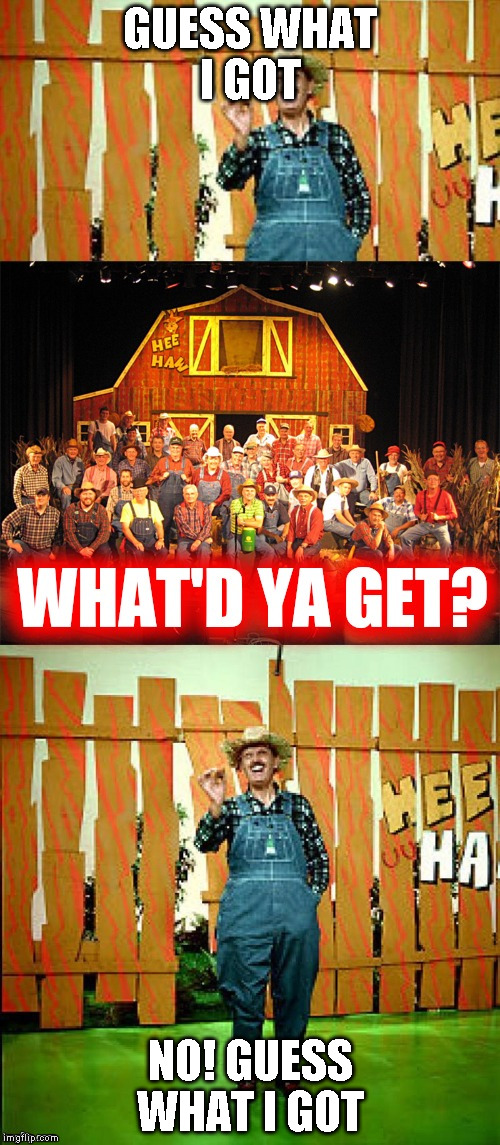 Hee haw I crossed a x with an x |  GUESS WHAT I GOT; NO! GUESS WHAT I GOT | image tagged in hee haw i crossed a x with an x | made w/ Imgflip meme maker