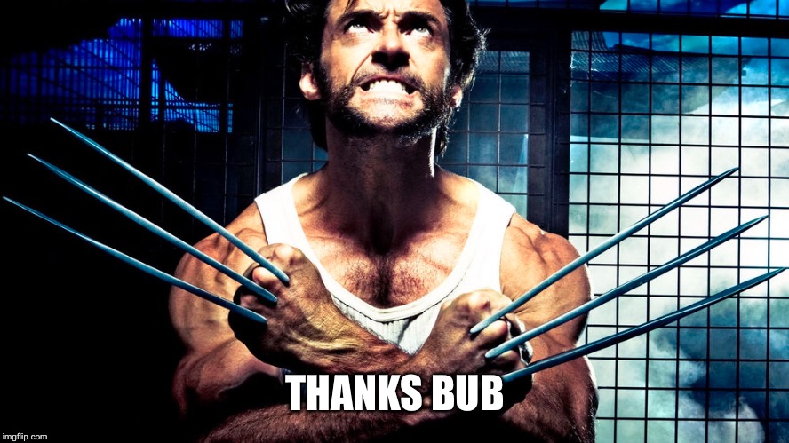 THANKS BUB | image tagged in memes | made w/ Imgflip meme maker