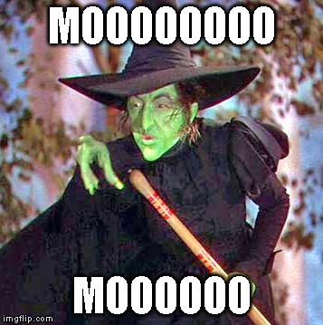 Wicked Witch | MOOOOOOOO; MOOOOOO | image tagged in wicked witch | made w/ Imgflip meme maker